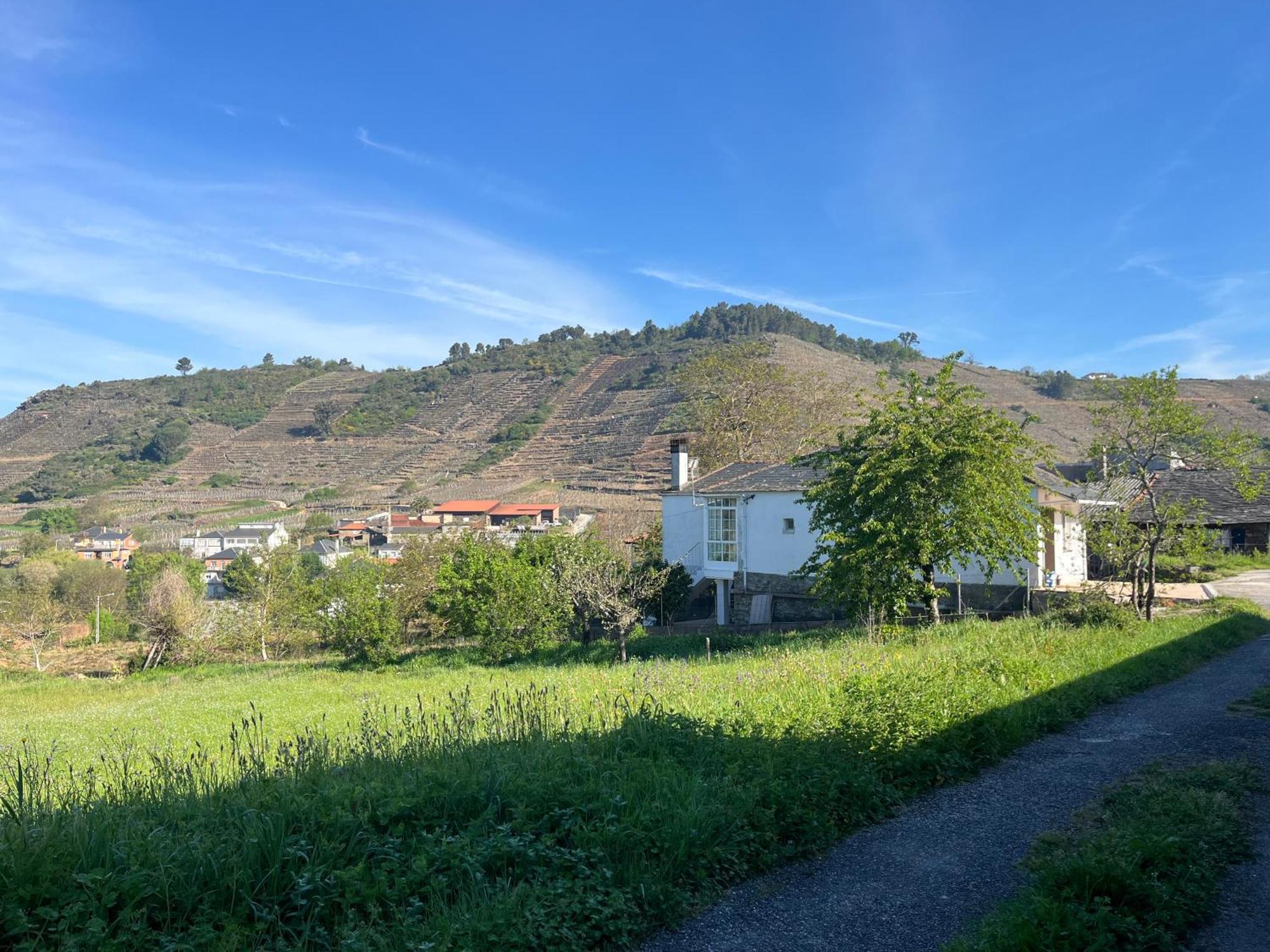 Casa Catalina - Ribeira Sacra Villa Abeleda Exterior foto